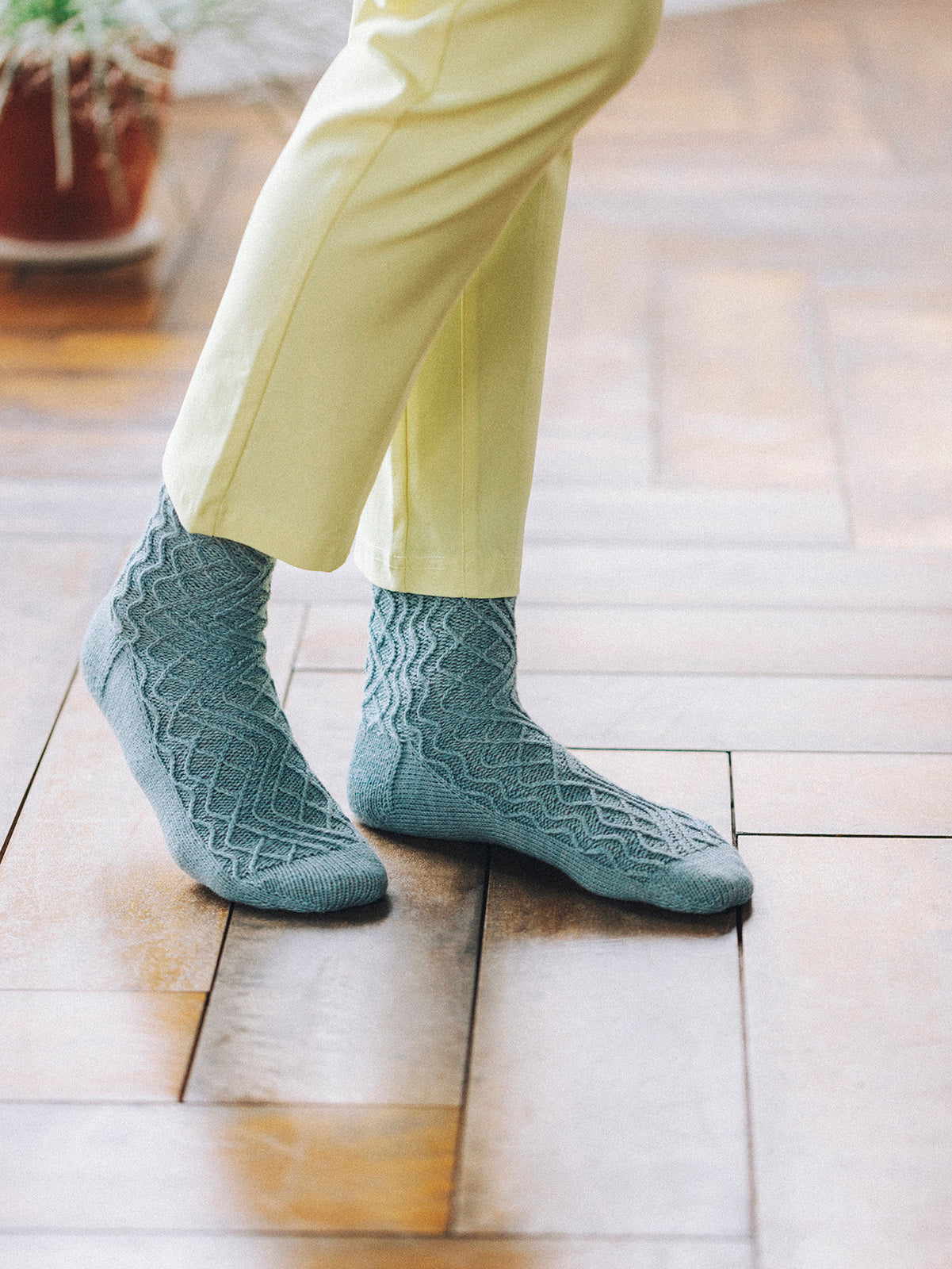 Preorder - Amirisu Issue 24 S/S 2022